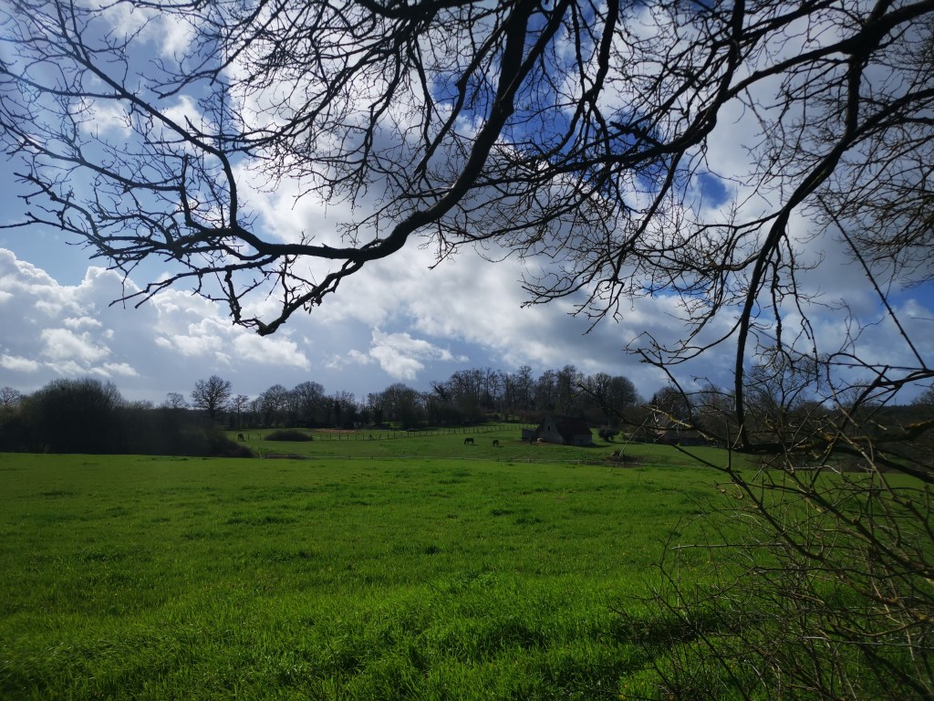 Natura e Storia: scopri L’Antica Roma nella Suisse&nbsp;Normande